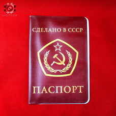 Обложка на паспорт 21