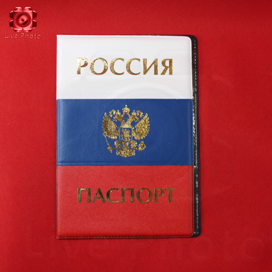 Обложка для паспорта обычная 2